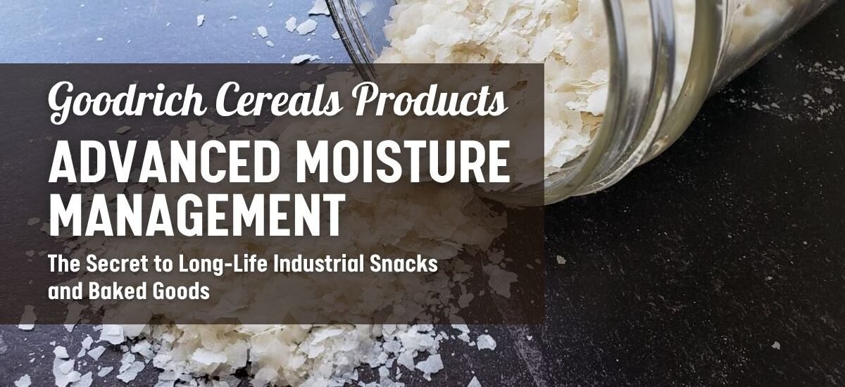 Advanced Moisture Management: The Secret to Long-Life Industrial Snacks and Baked Goods