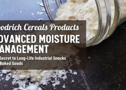 Advanced Moisture Management: The Secret to Long-Life Industrial Snacks and Baked Goods